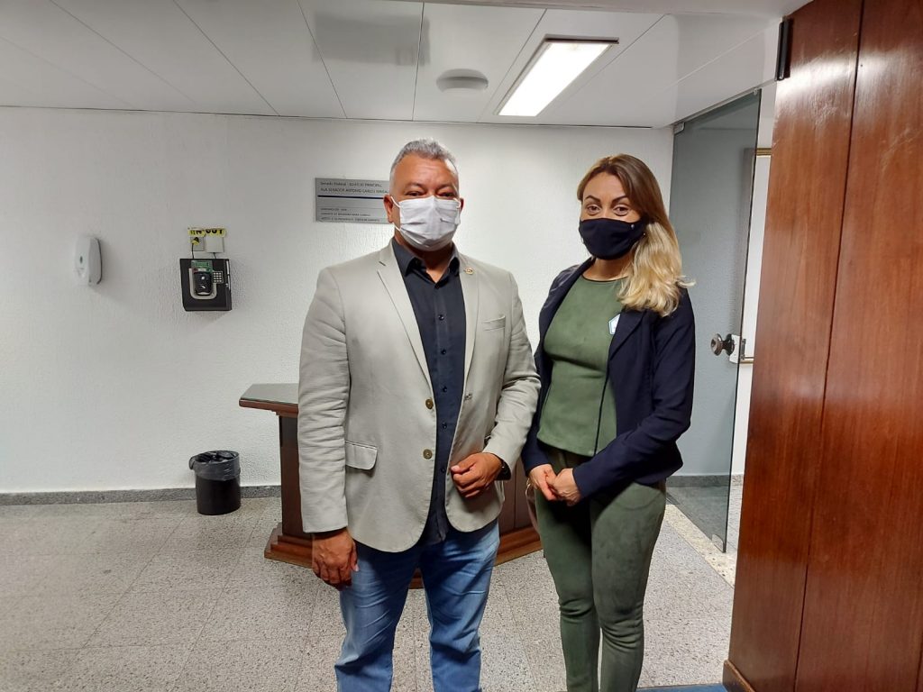 Diretores do Sindate debatem PL 2.564 no Senado Federal